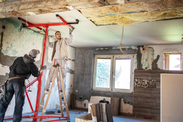 Best Eco-Friendly Insulation in Fall River, WI