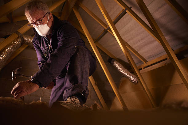 Best DIY Insulation Kits and Guidance in Fall River, WI